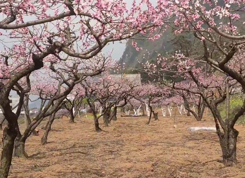 云南昆明景点石林仙女湖风景区景点介绍1