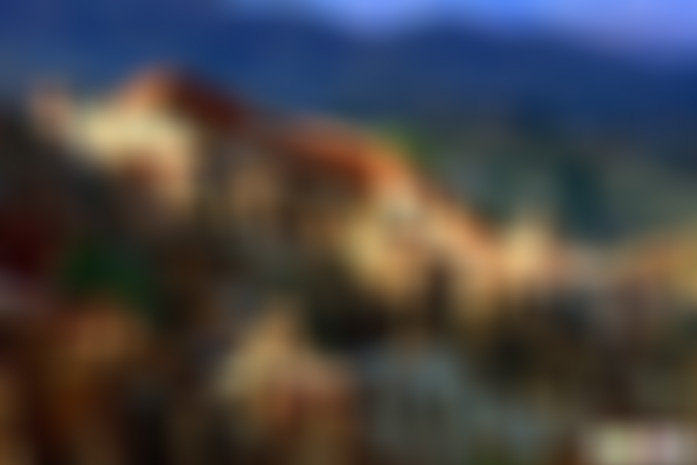 云南昭通景点兴隆万亩山茶花景点介绍1