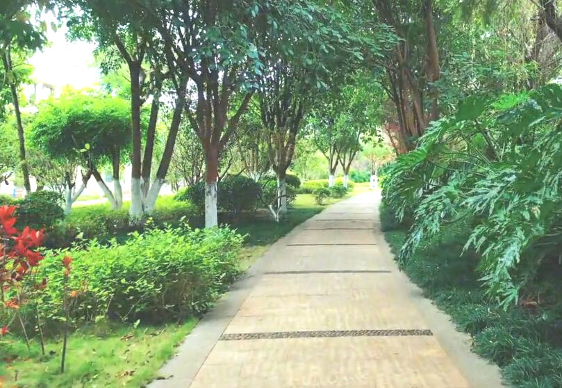 云南保山景点翁堵立木山风景区景点介绍1