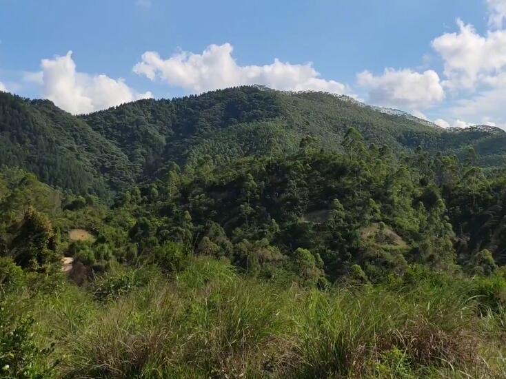 云南昭通景点牛场广德关(怀德关)景点介绍1