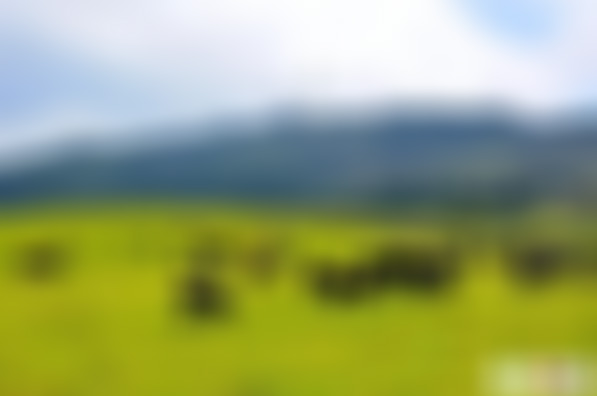 云南保山景点和顺文昌宫景点介绍1