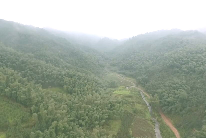 云南昭通景点海子坪自然保护区景点介绍1