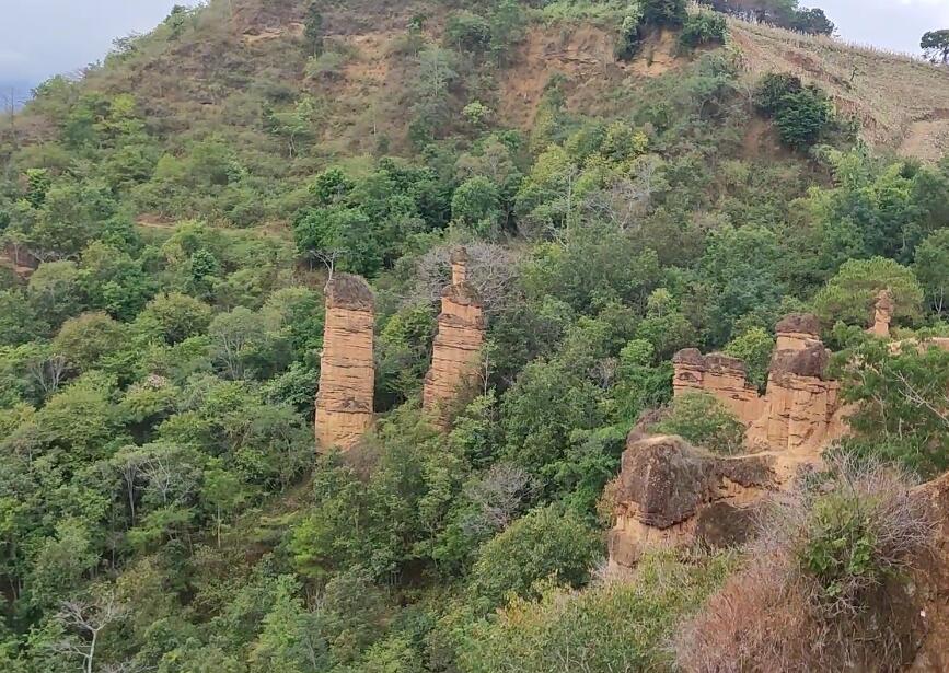 云南临沧景点永德土佛(仙根)景点介绍1