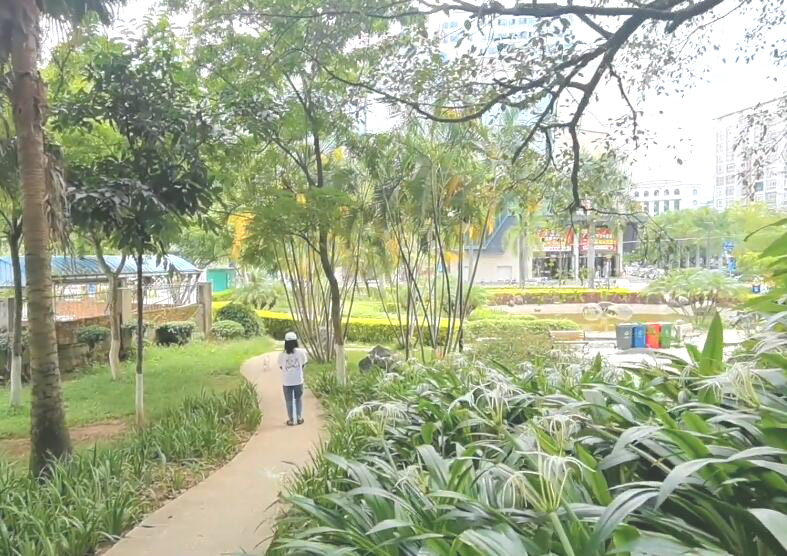 云南普洱景点普洱回龙寺景点介绍1