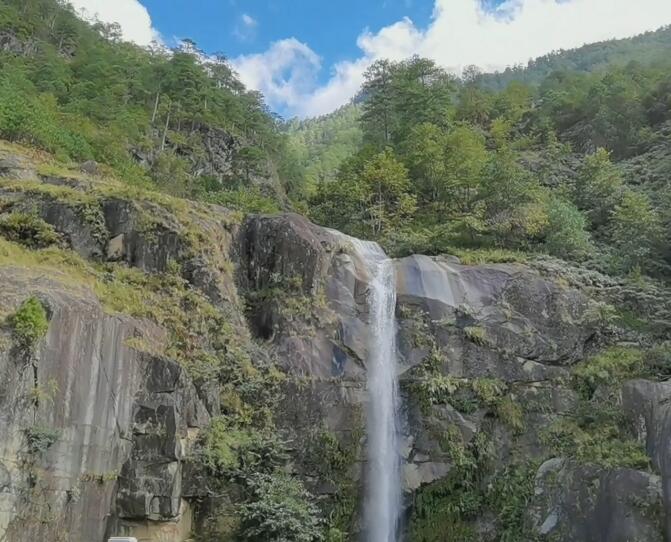 云南保山景点摩苍森林公园景点介绍1