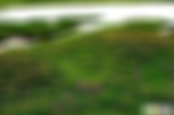 云南昭通景点茂林永安湿地景点介绍1