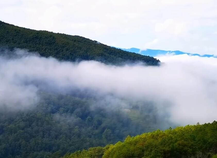 云南红河景点金平哈尼梯田景点介绍1