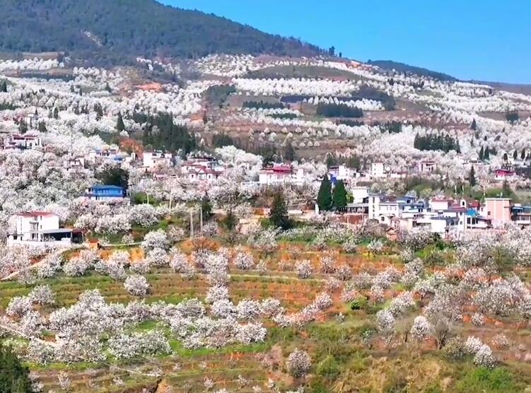 云南普洱景点杜鹃湖(徐家坝水库)景点介绍1