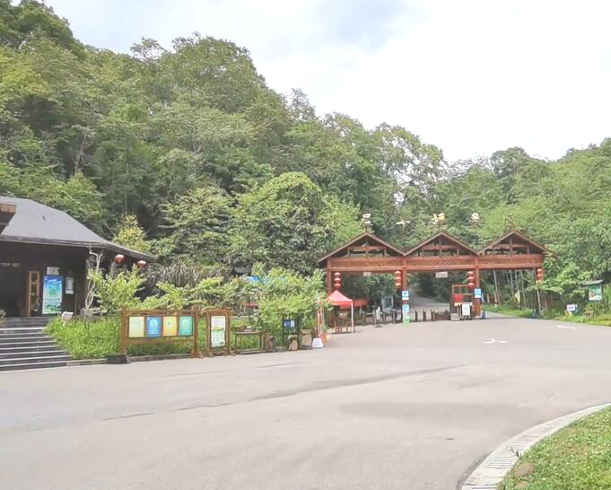 云南普洱景点太阳河国家森林公园景点介绍1