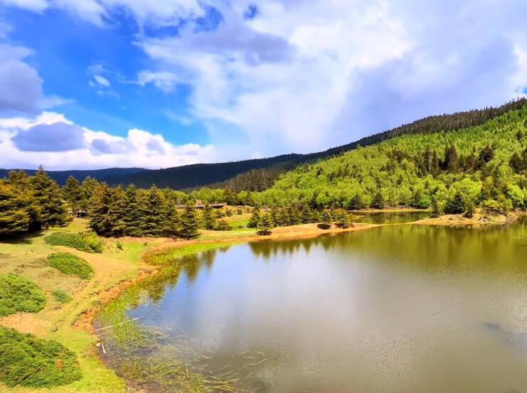 云南迪庆景点普达措公园(国家5A级)景点介绍1