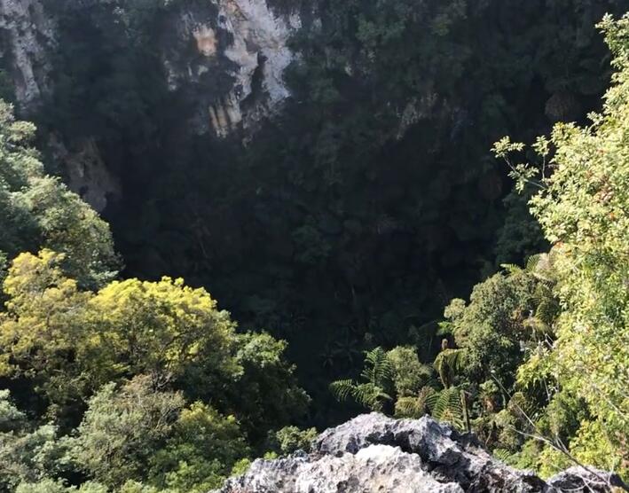 云南昆明景点翠湖竹林岛景点介绍1