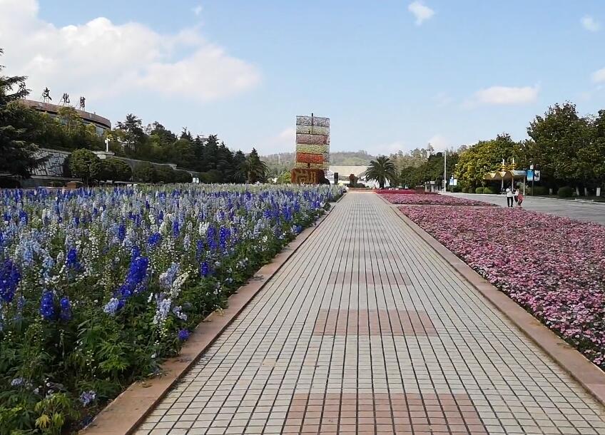 云南昆明景点世界园艺博览园(国家5A级)景点介绍1