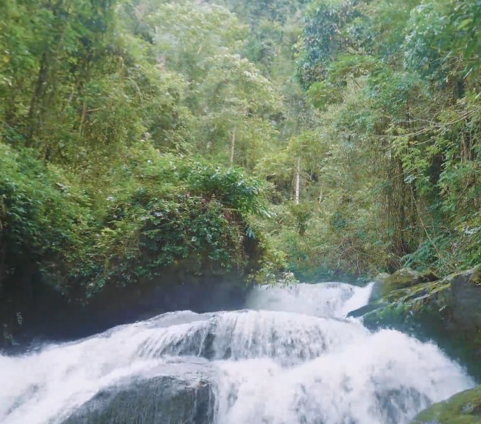 云南保山景点百花岭生态旅游区景点介绍2