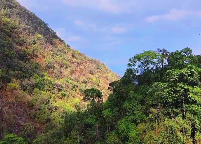 云南保山景点百花岭生态旅游区景点介绍3