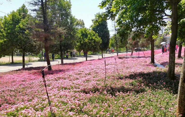 云南曲靖景点亚洲第一土坝—毛家村土坝景点介绍1