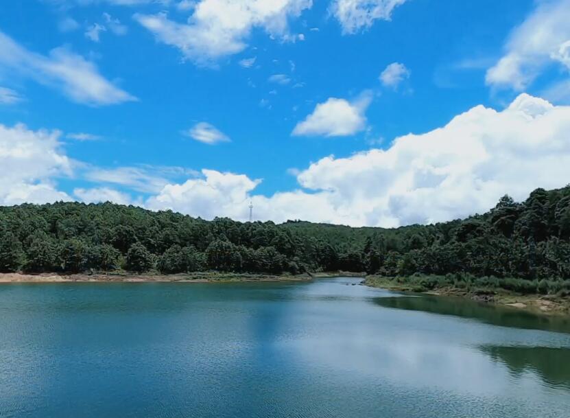 云南楚雄景点紫溪山森林公园景点介绍1