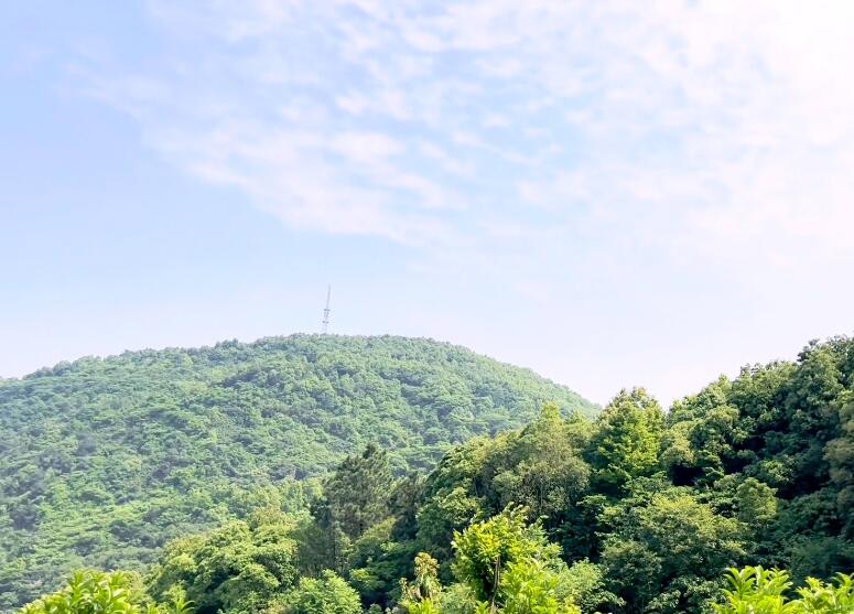 云南楚雄景点万松山原始森林景点介绍1