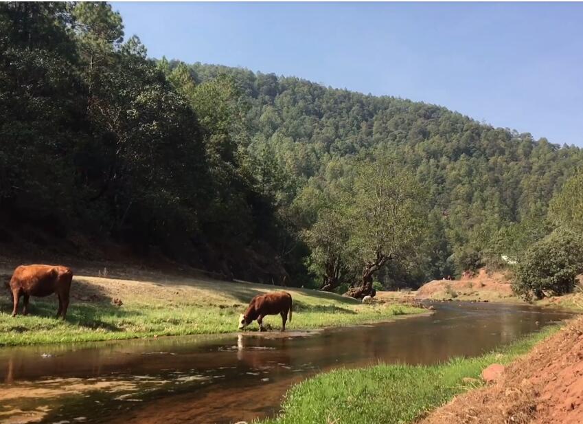 云南昆明景点云南石林风景区景点介绍1