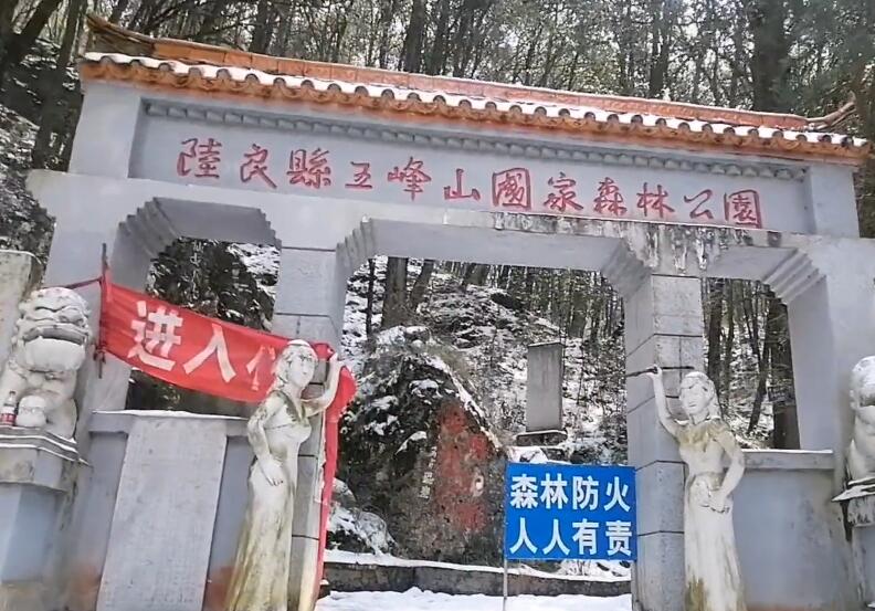 云南普洱景点普洱小熊猫庄园景点介绍1