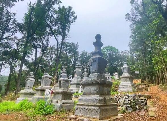 云南普洱景点孔雀山森林公园景点介绍1