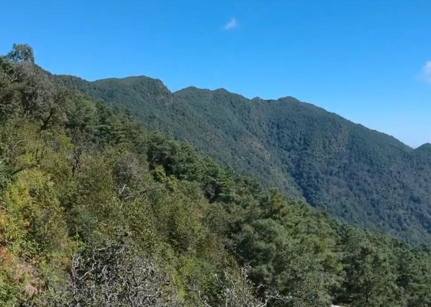 云南保山景点善洲林场教育基地景点介绍1