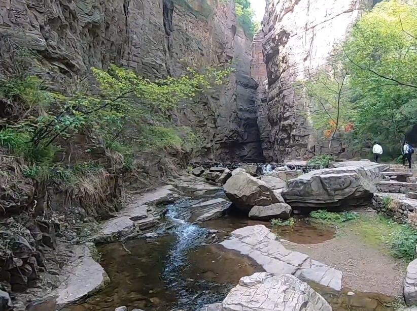 河南开封景区铁塔公园盆景苑景点介绍1