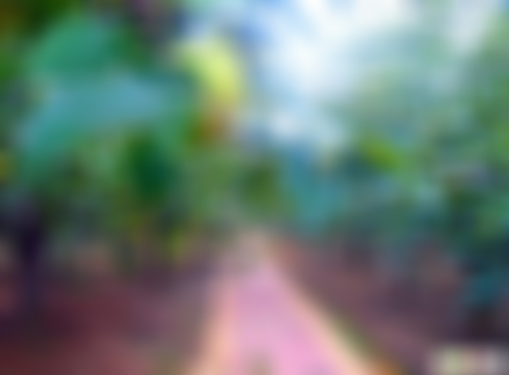 河南开封景区至道书画博物馆景点介绍1