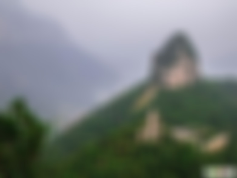 河南开封景区杨家花园景点介绍1