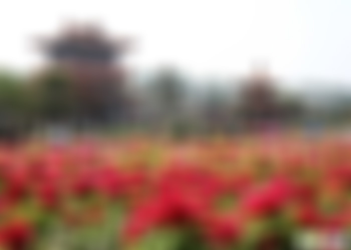 河南驻马店景区准提楼景点介绍1