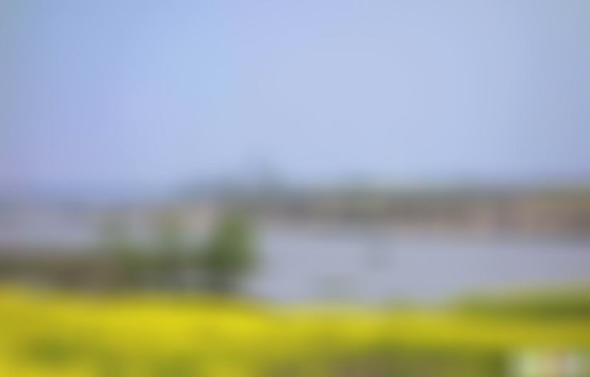 河南洛阳景区龙门万佛洞景点介绍1