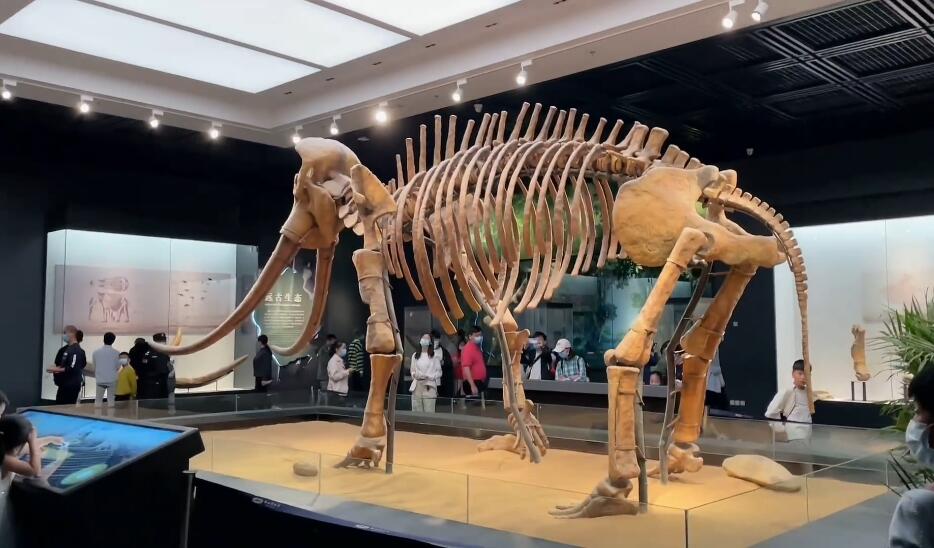 河南驻马店景区大吕书院景点介绍1