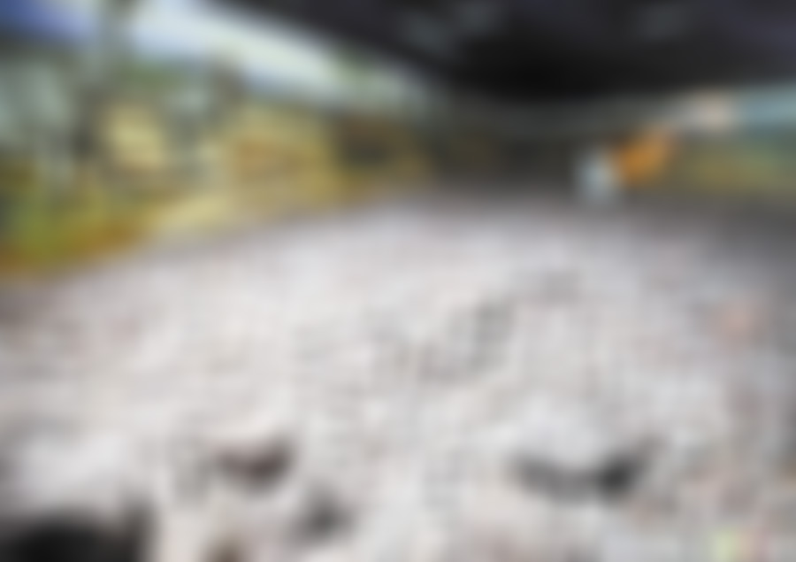 河南驻马店景区干宝故里景点介绍1