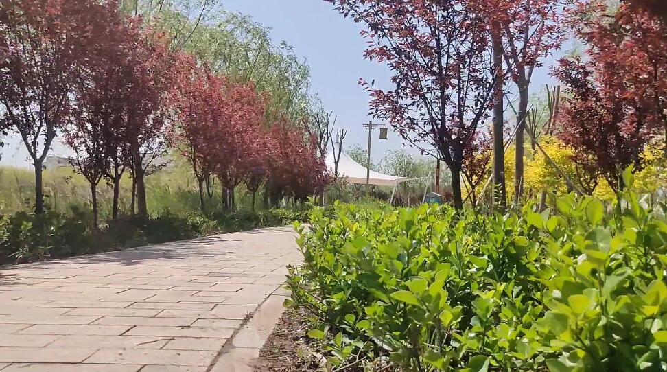 河南洛阳景区天池山玉女溪景点介绍1