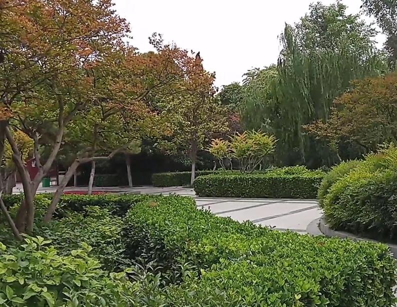 河南焦作景区杨露禅学拳处景点介绍1