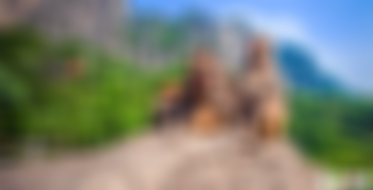 河南焦作景区云台山猕猴谷景点介绍1