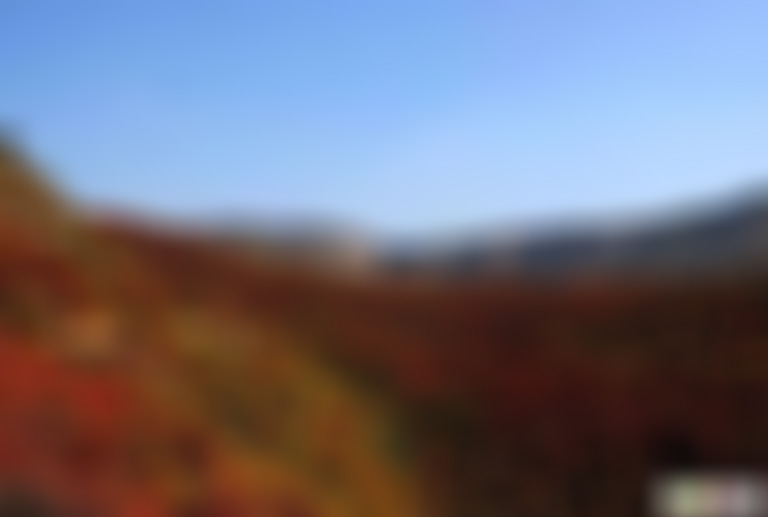 河南三门峡景区虢国公园景点介绍1