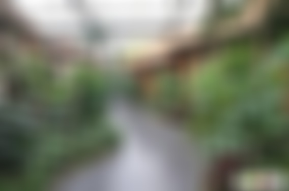 河南开封景区电子显微镜博物馆景点介绍1