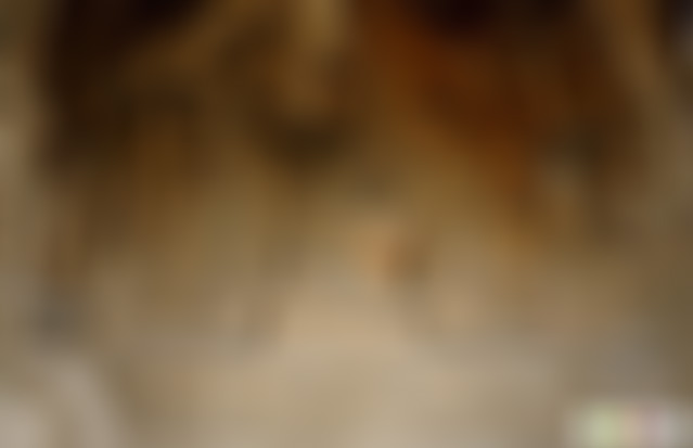 河南新乡景区陈玉成纪念馆景点介绍1