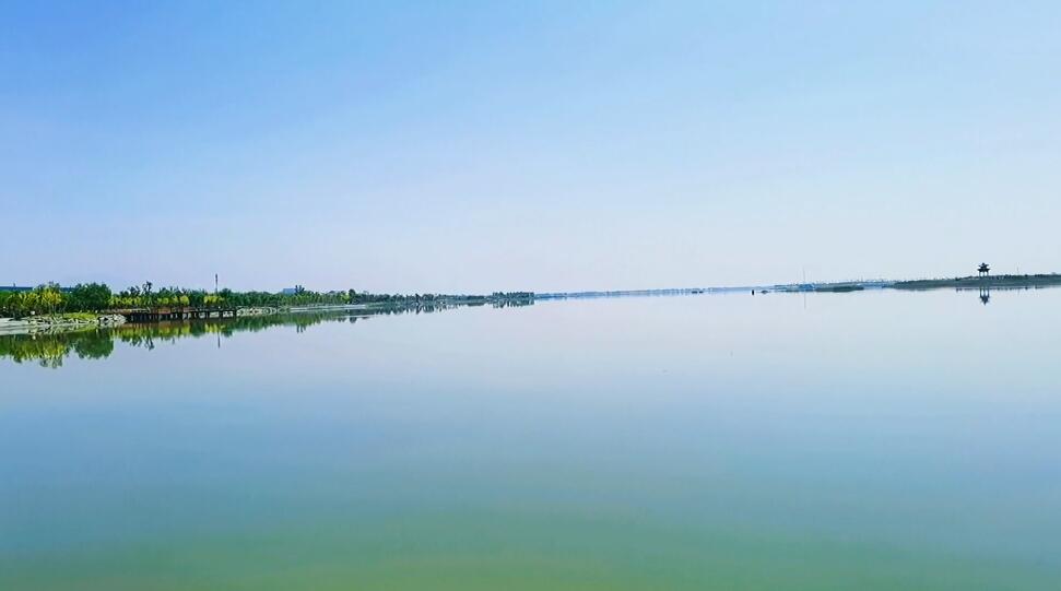 河南平顶山景区仙草花海景点介绍1