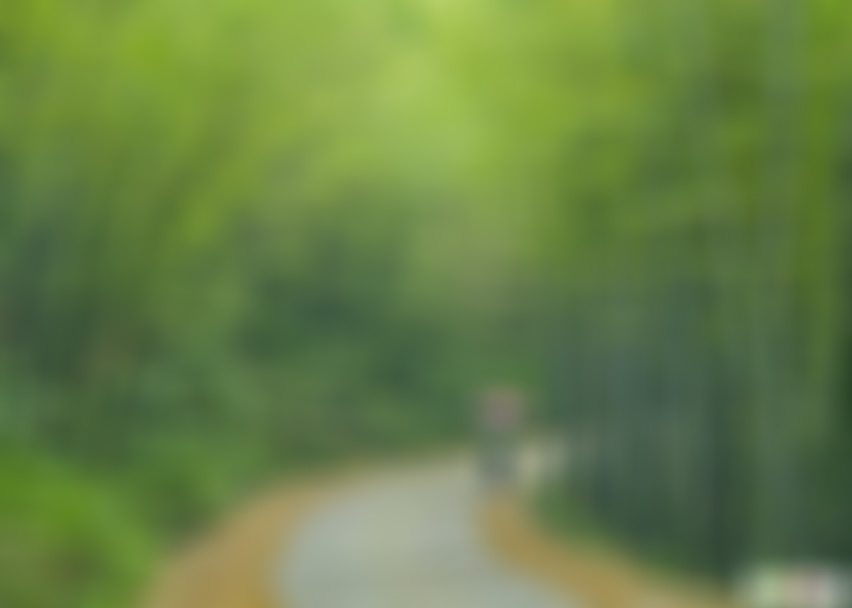 河南信阳景区西九华山竹海景点介绍1