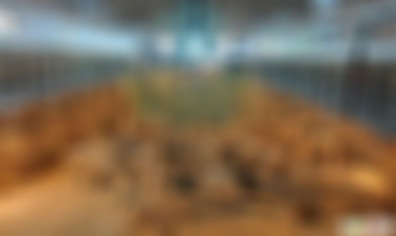 河南商丘景区李馆地道旧址景点介绍1