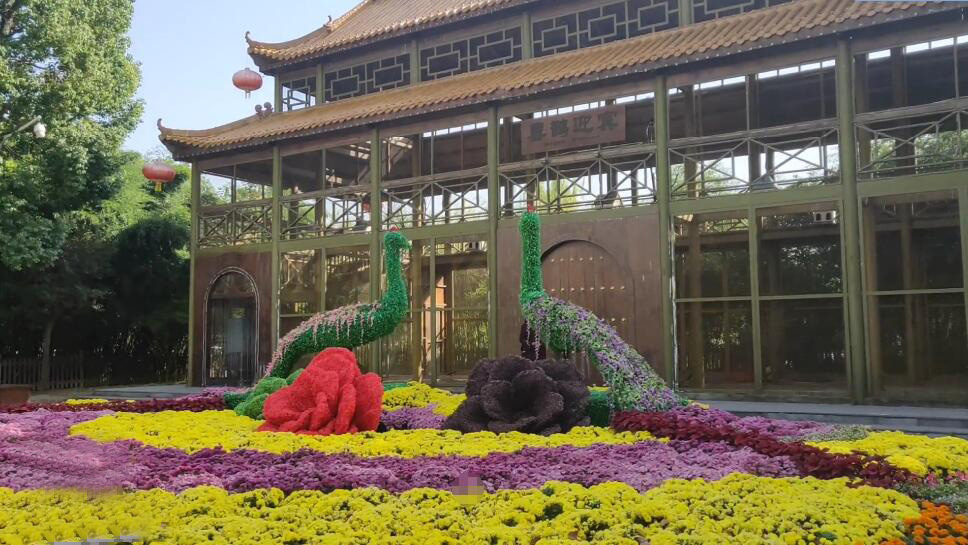 河南漯河景区金凤凰鸟文化园景点介绍1