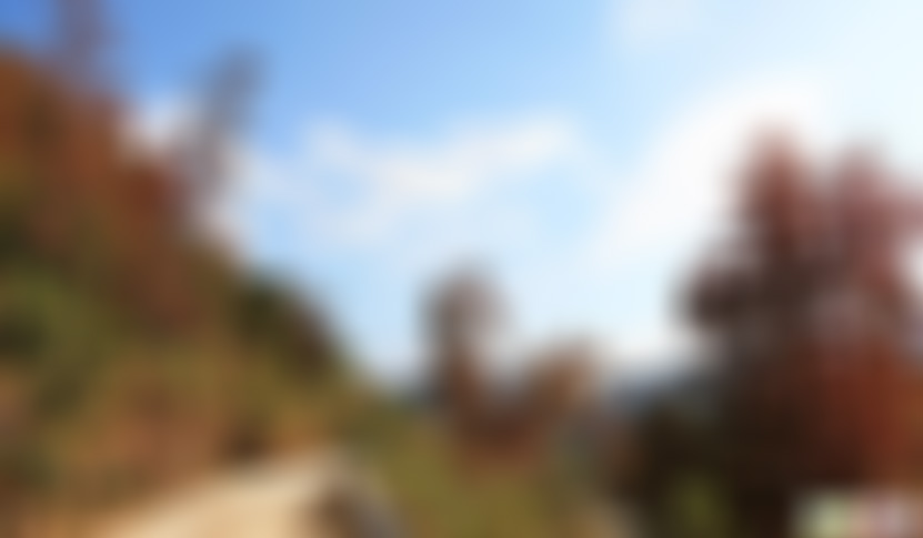 河南平顶山景区尧山红枫谷景点介绍1