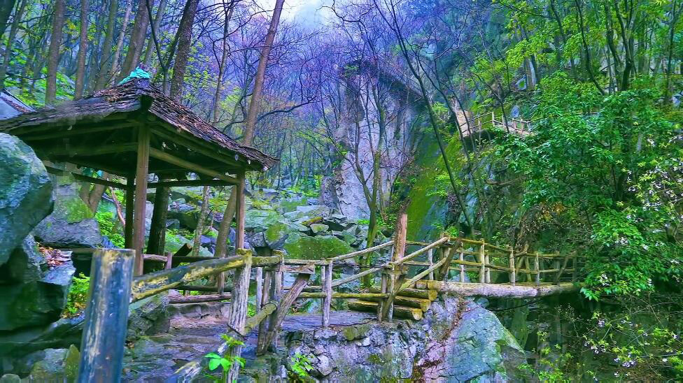 河南南阳景区老君洞野人谷景点介绍1