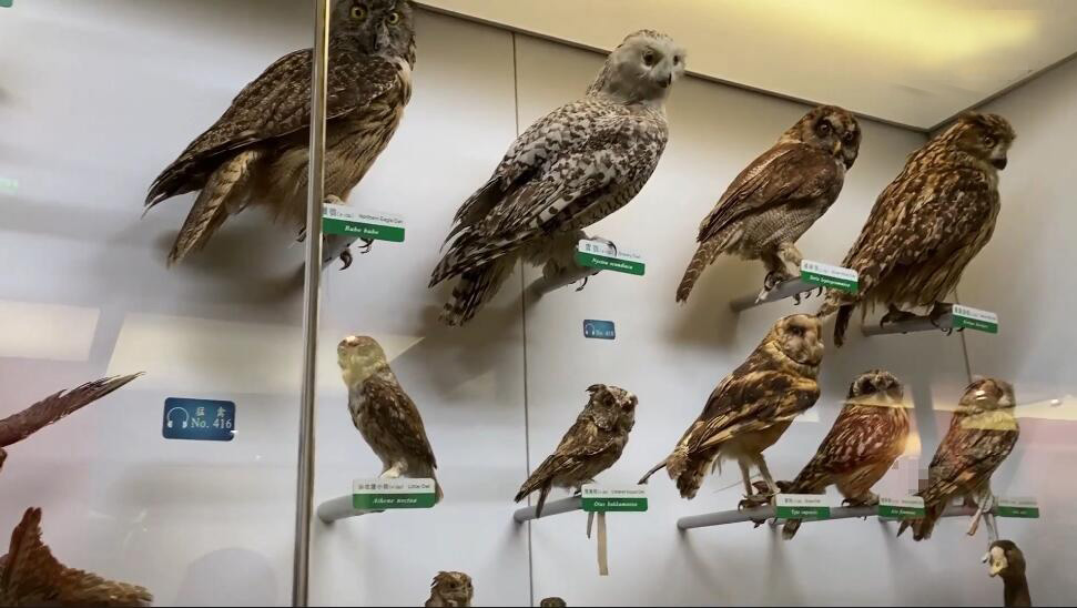 河南安阳景区红旗渠创业洞景点介绍1