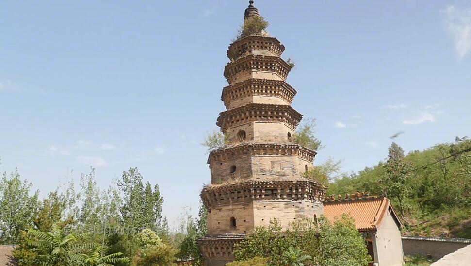 河南安阳景区花卉博览园景点介绍1