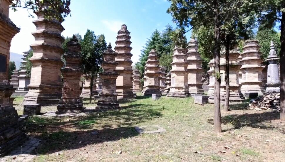 河南郑州景区嵩山少林寺塔林景点介绍1