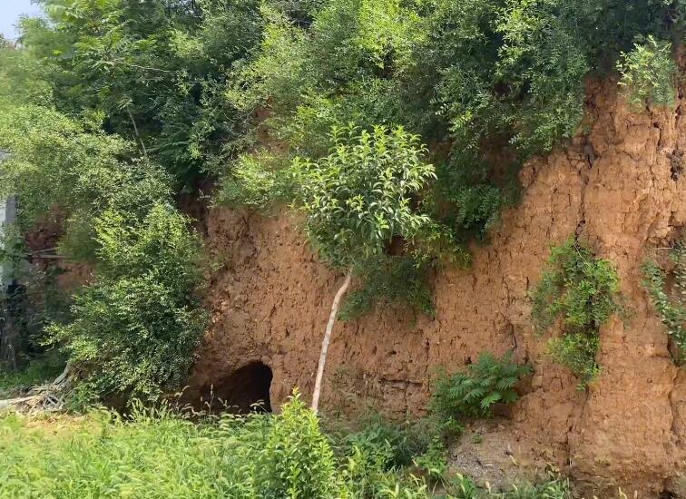 河南许昌景区神垕老街景点介绍1