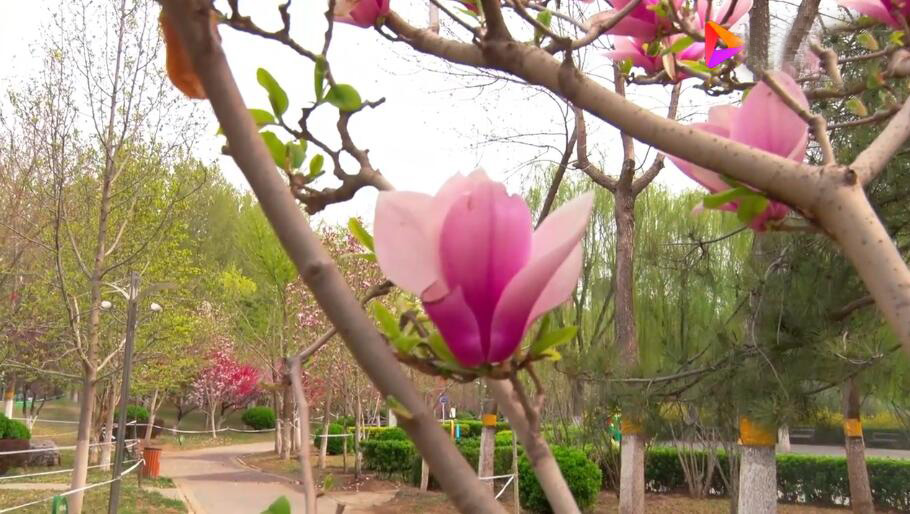 河南洛阳景区东山底村景点介绍1