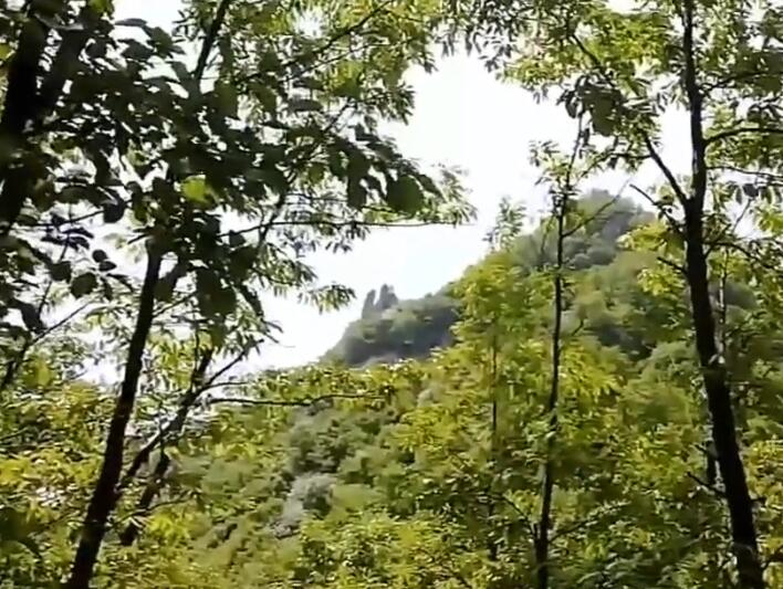 河南周口景区川汇生态园景点介绍1